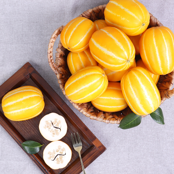 [프리본] 산지직송 당도선별 성주 로얄과 참외 2kg (5~8과)