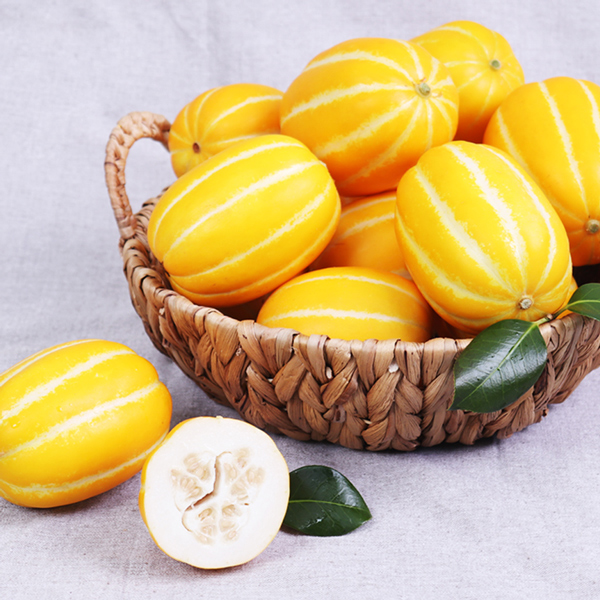 [프리본] 산지직송 당도선별 성주 로얄과 참외 2kg (5~8과)