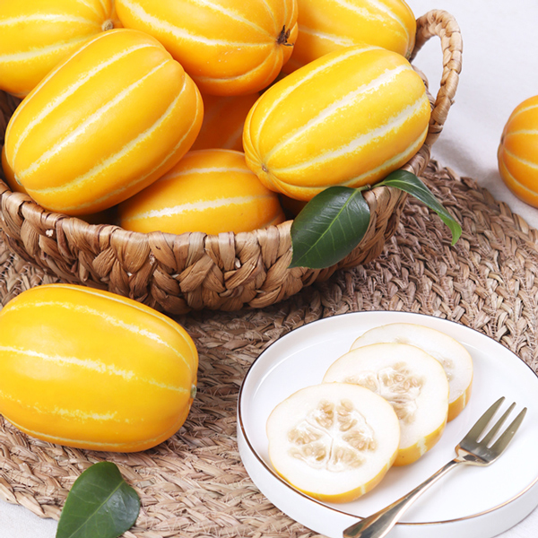 [프리본] 산지직송 당도선별 성주 로얄과 참외 2kg (5~8과)