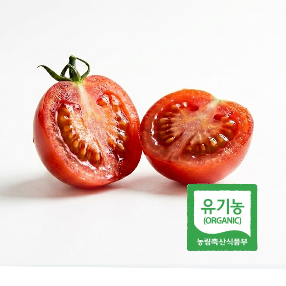 아침에 딴 신선한 유기농 방울 토마토 500g 당일수확 산지직송 프리미엄 KS