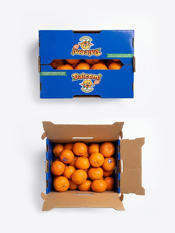 캘리포니아 만다린 오렌지(2.5kg내외/20~23입)