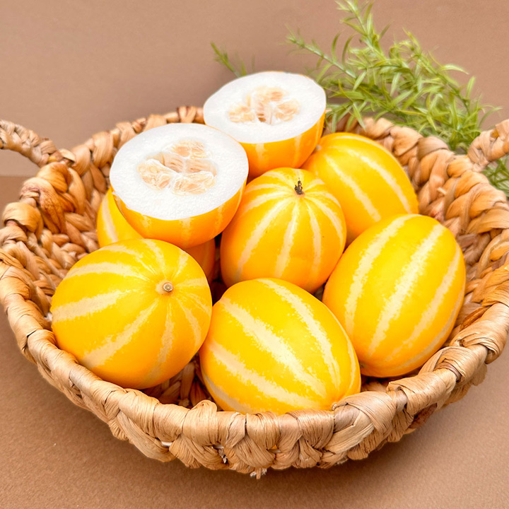 성주 고당도 꿀 참외 가정용 1kg 대표이미지 섬네일