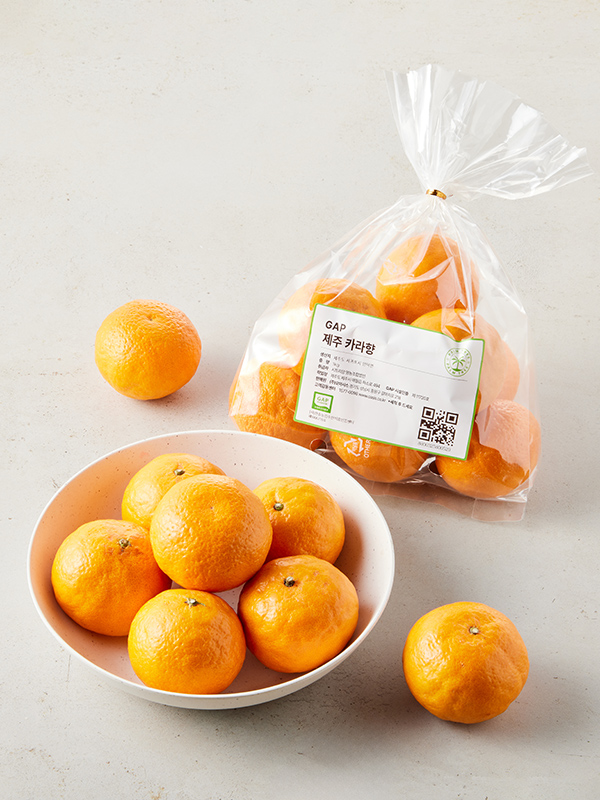[맛보장] 15brix이상 GAP 제주 카라향 1kg