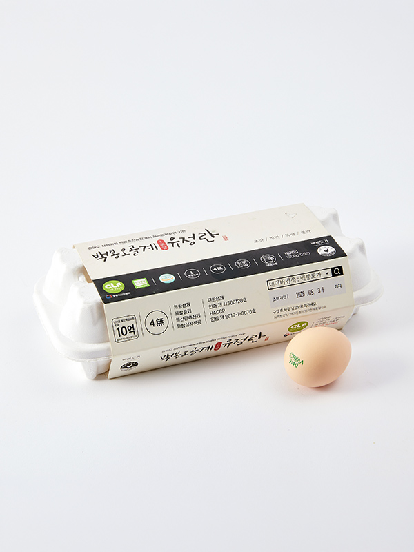 [백봉오골계] 자유방목 유정란 10구