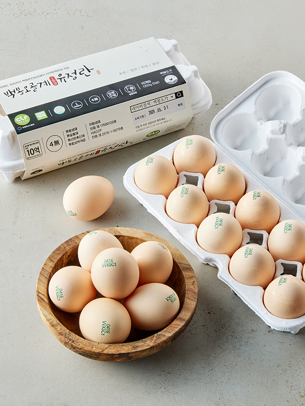 [백봉오골계] 자유방목 유정란 10구