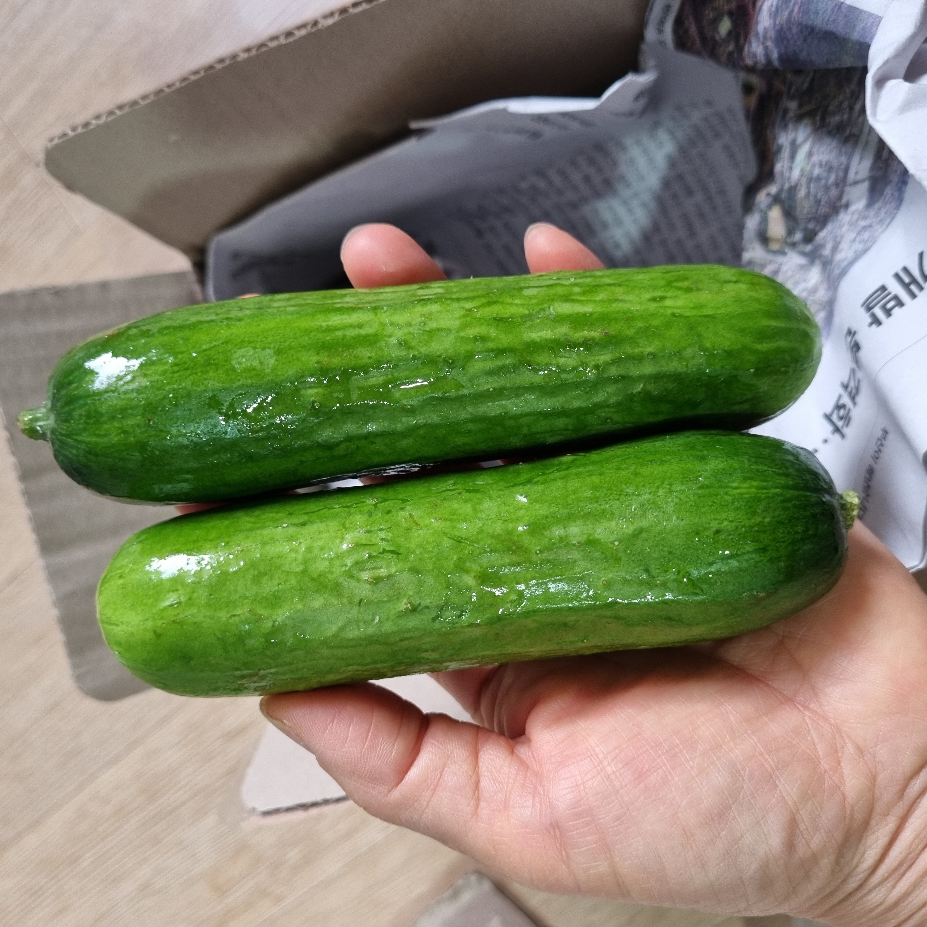 아삭아삭 청량 미니오이 스낵오이