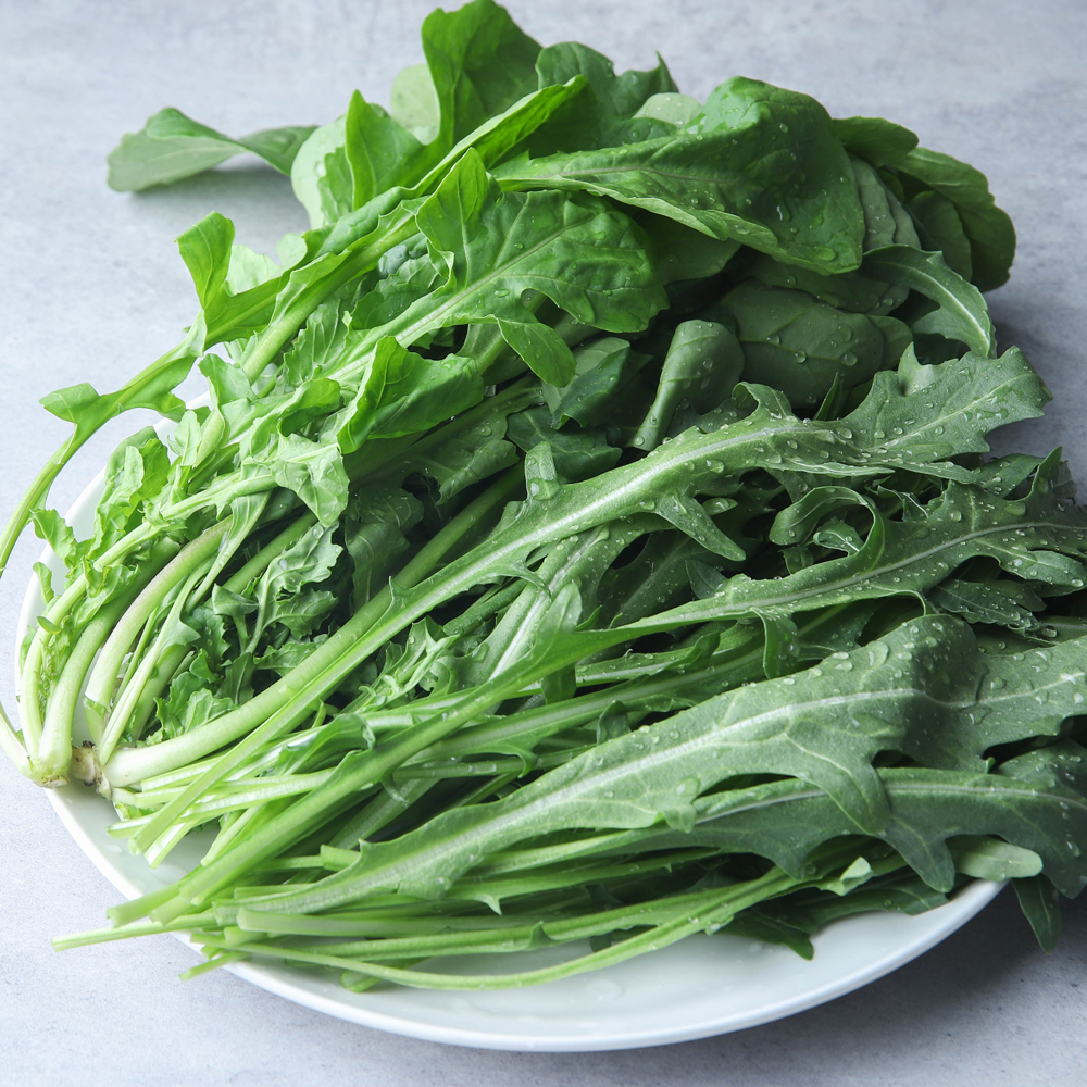 와일드 루꼴라 500g 1kg