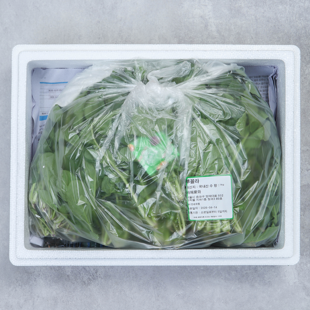 와일드 루꼴라 500g 1kg