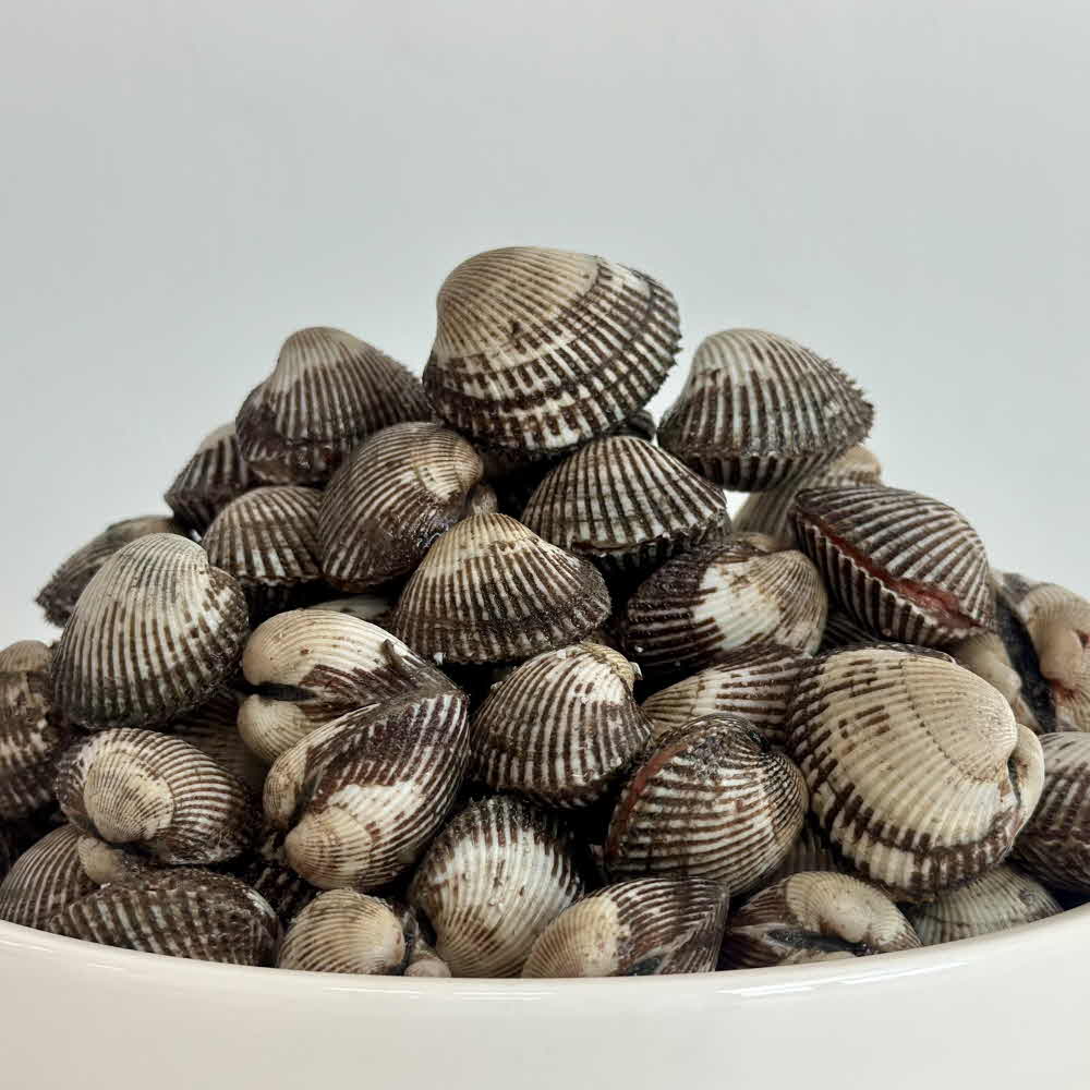 꼬막 벌교꼬막 제철 벌교 새꼬막 2kg 3kg 5kg