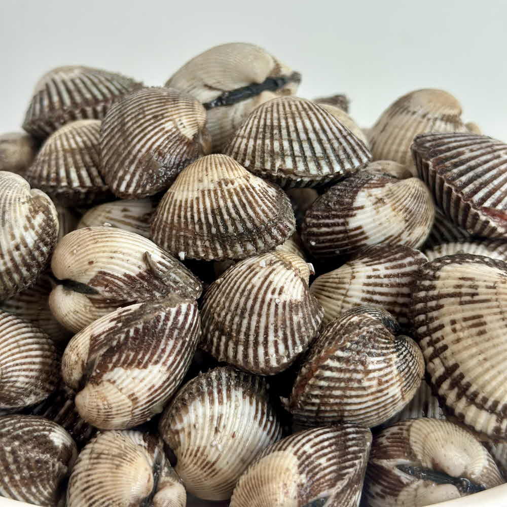 꼬막 벌교꼬막 제철 벌교 새꼬막 2kg 3kg 5kg 대표이미지 섬네일