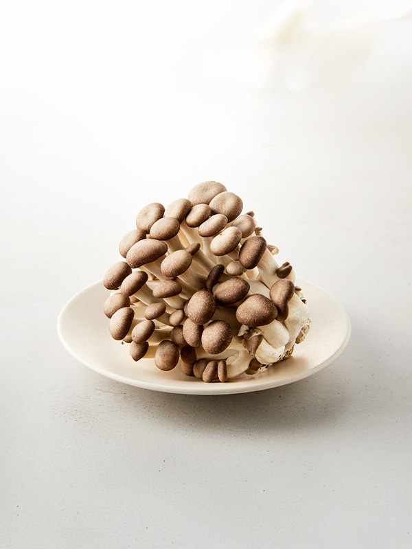 무농약 블랙머쉬버섯(160g)