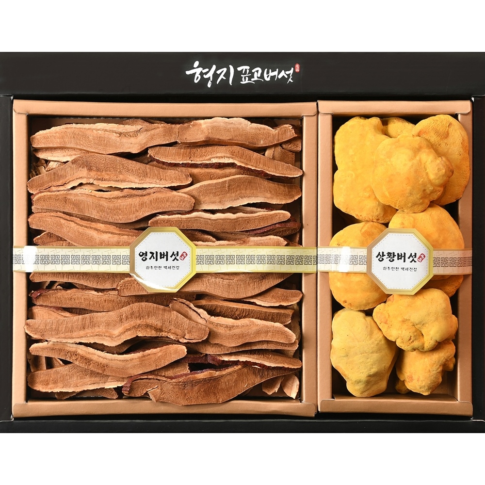 [형지표고버섯] 국산 영지버섯 상황버섯 명품4호 버섯 선물세트