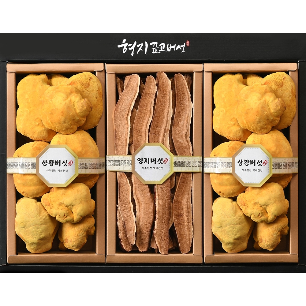 [형지표고버섯] 국산 장수 상황버섯 특 2호 버섯 선물세트