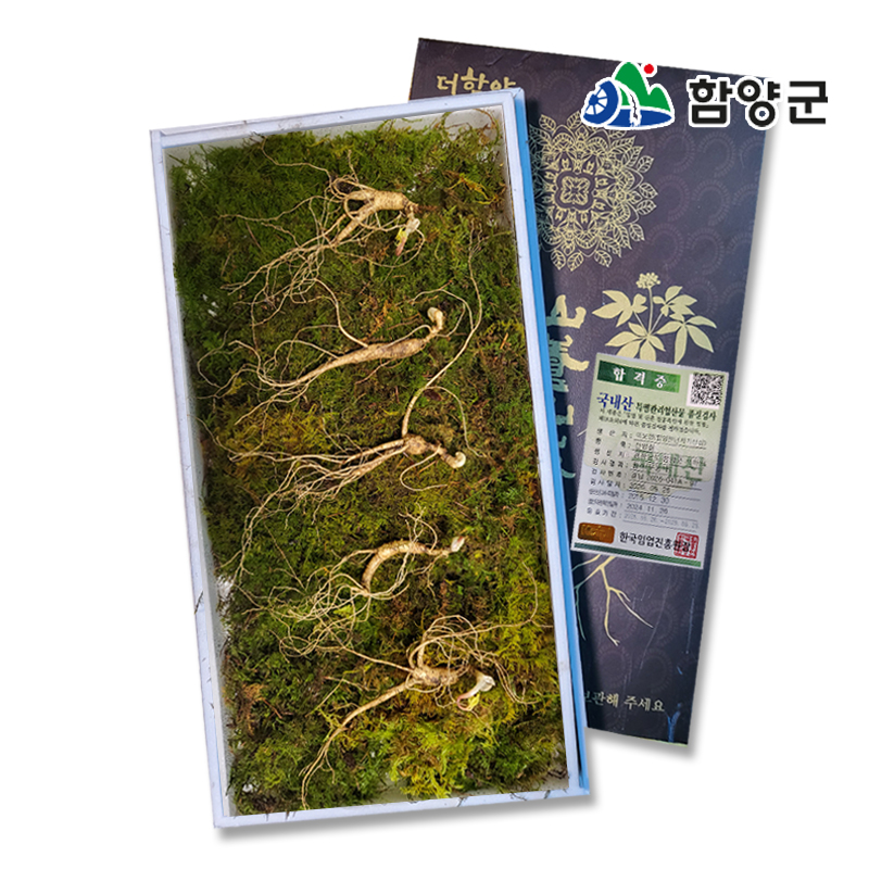 [함양시장] 지리산 함양천년지기 산양삼 9-10년근5뿌리/10뿌리