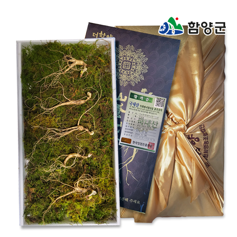 [함양시장] 지리산 함양천년지기 산양삼 9-10년근5뿌리/10뿌리