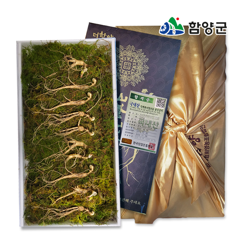 [함양시장] 지리산 함양천년지기 산양삼 9-10년근5뿌리/10뿌리