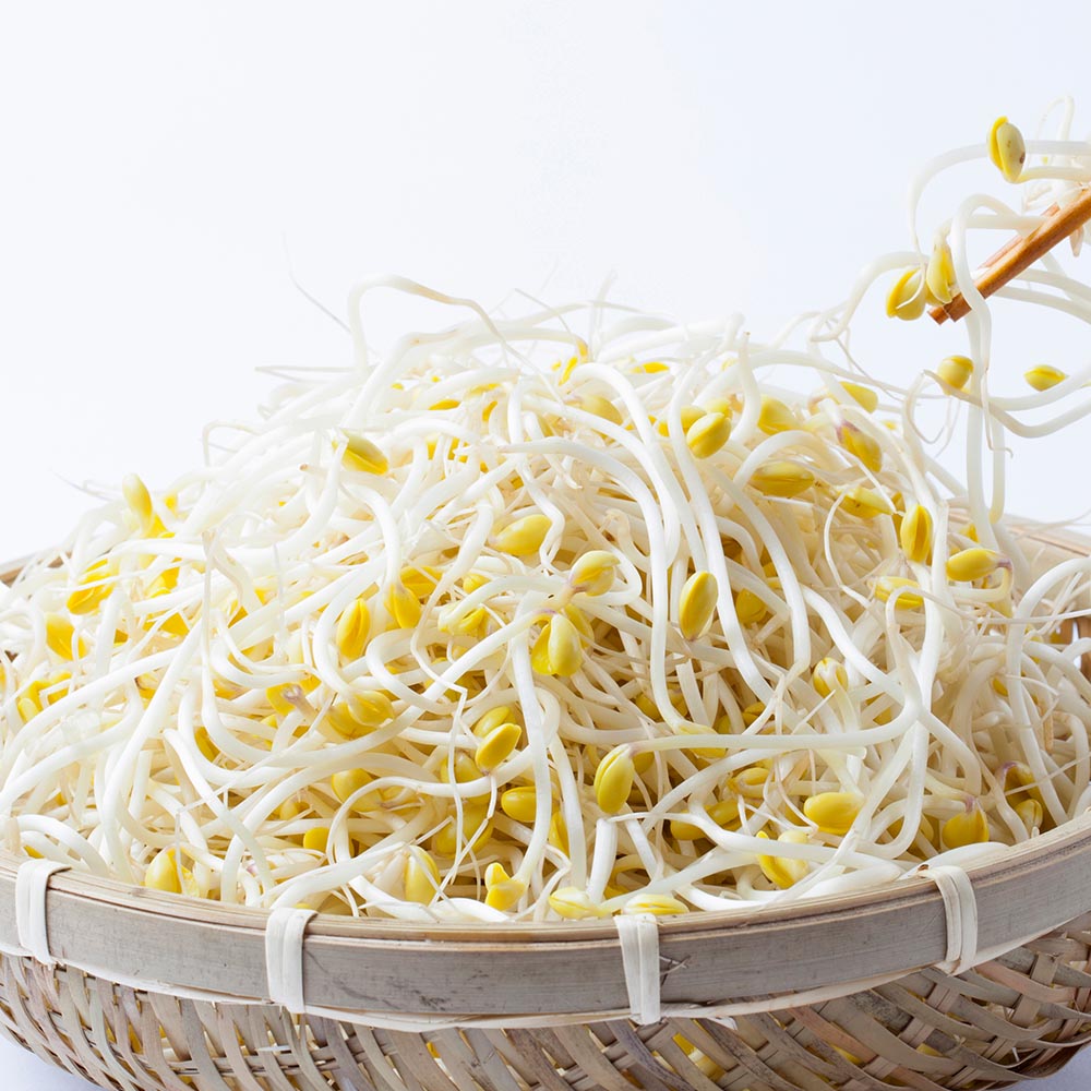 국내산 암반수 재배 무농약 콩나물 1kg
