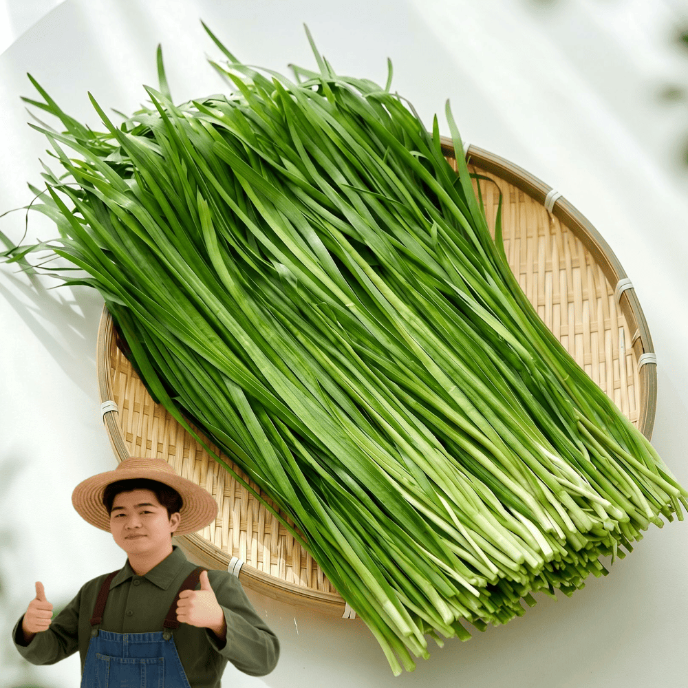 천산지유 당일수확 국내산 부추