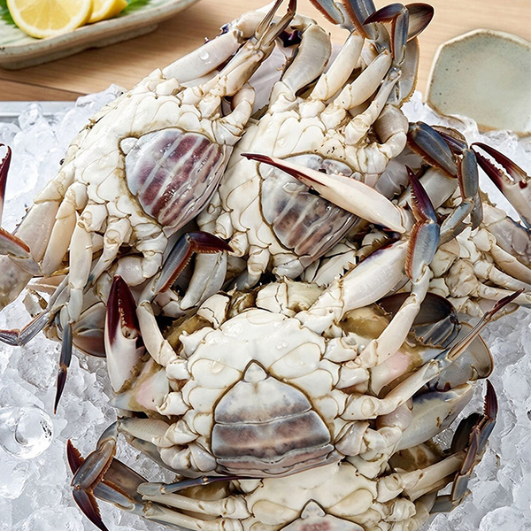 [오커최고] 서해안 활 암꽃게 1~3kg 대표이미지 섬네일
