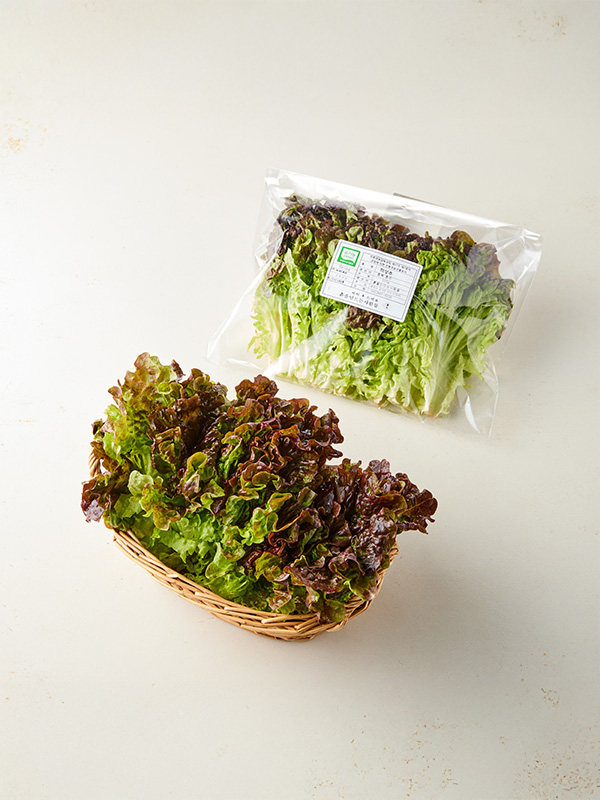 유기농 적상추(100g)