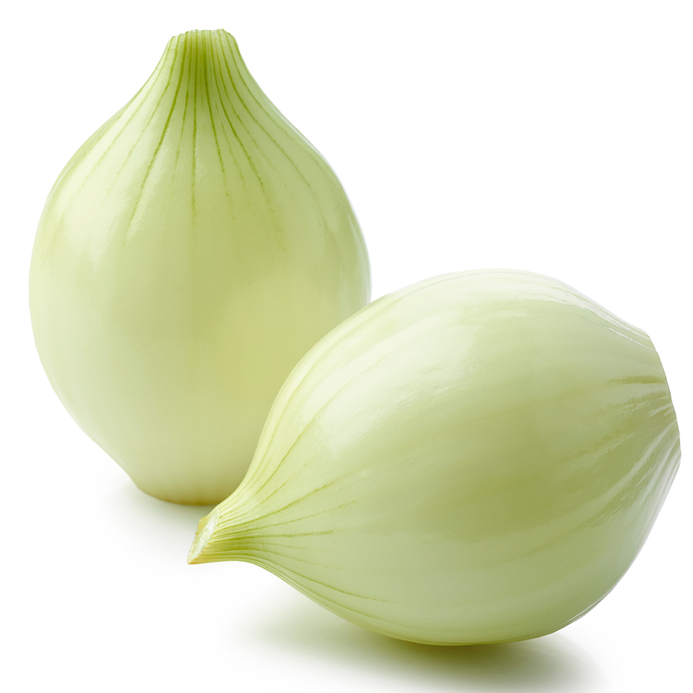 달큰 아삭한 햇 양파 2.5kg 5kg 10kg