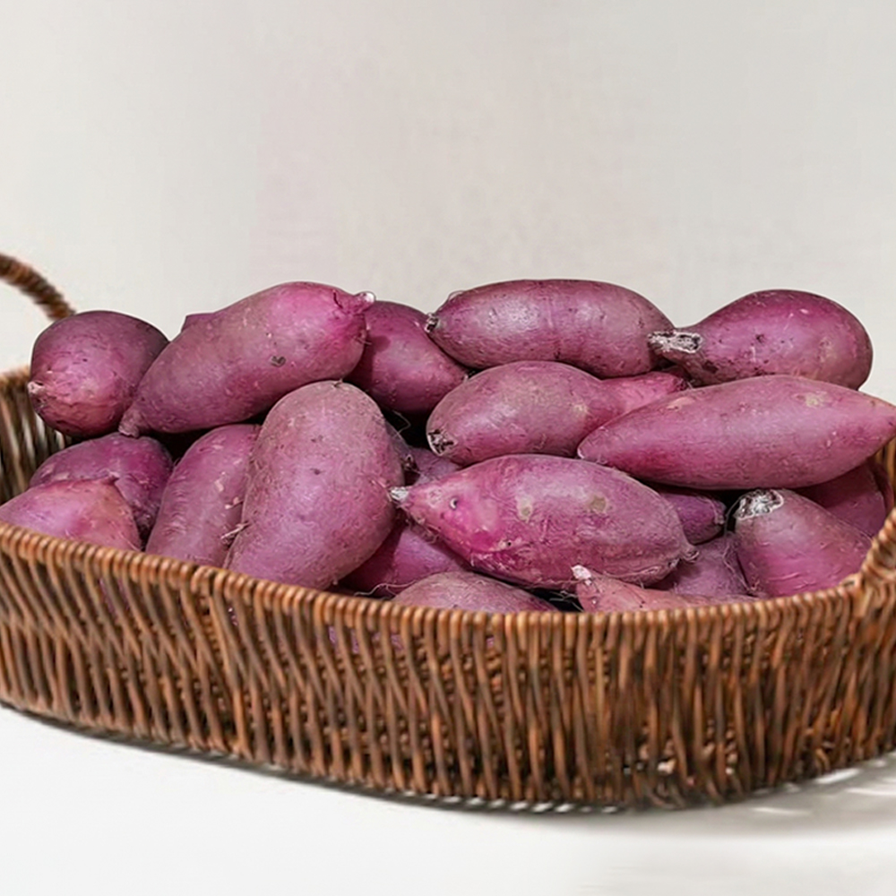태안 꿀 고구마 비세척 베니하루카 3kg 5kg 10kg