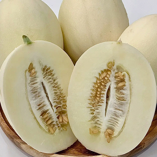 [팜스] 고령 설향 메론 2kg(3~6과) 외 2종