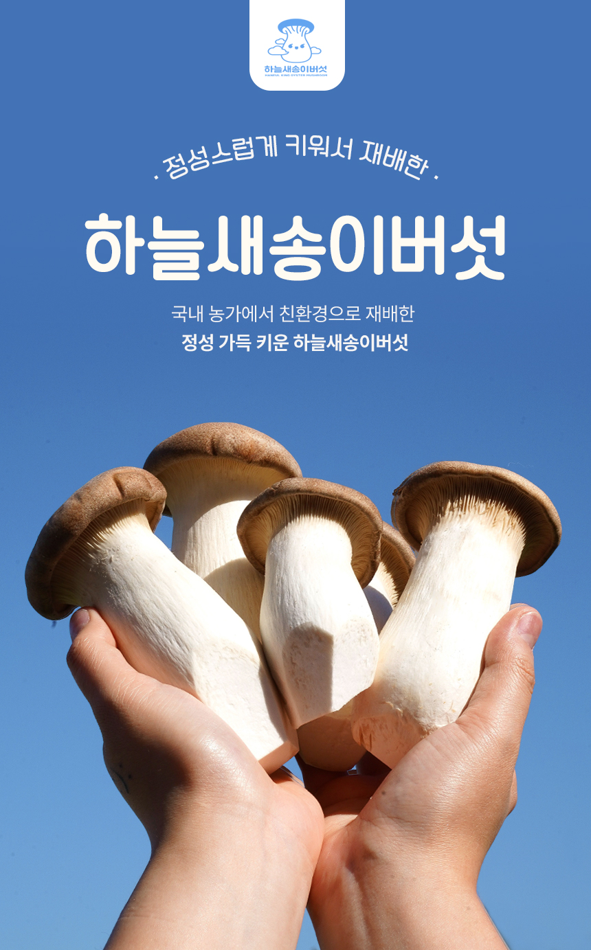 하늘 친환경 새송이버섯 대표이미지 섬네일