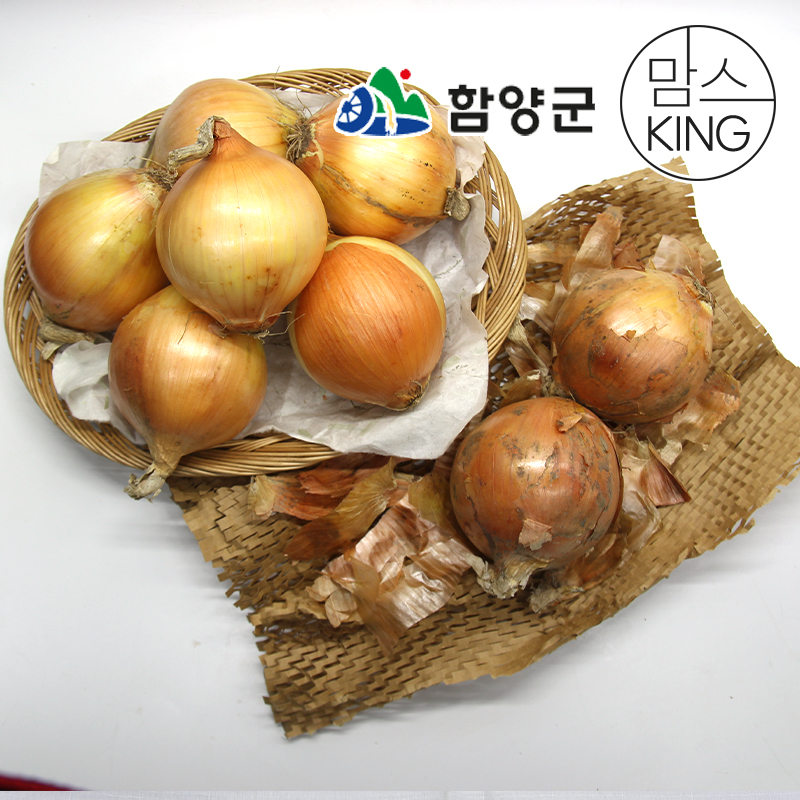 함양농협 농산물 산지유통센타 지리산 함양 만생종 햇양파 5kg 외