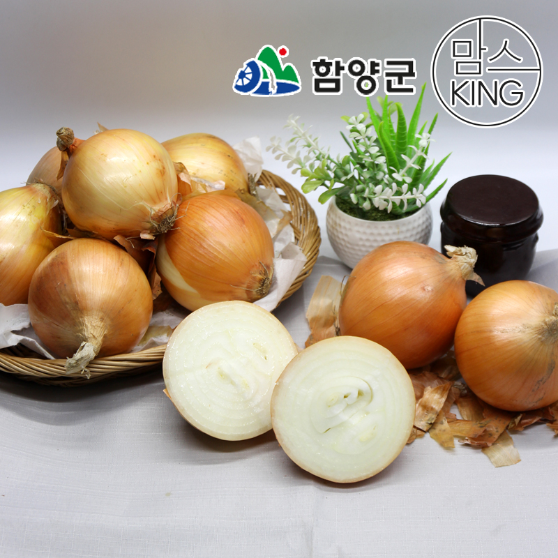 [함양군]함양농협 농산물 산지유통센타 국내산 조생종 햇양파 5kg 외 대표이미지 섬네일