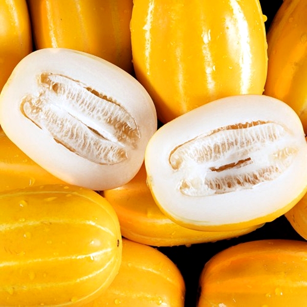 성주 참외 가정용 한입-로얄 2-10kg