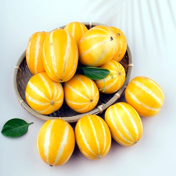 성주 참외 못난이 혼합과 1kg-10kg