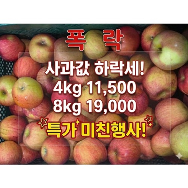 부사 가정용 4kg-8kg