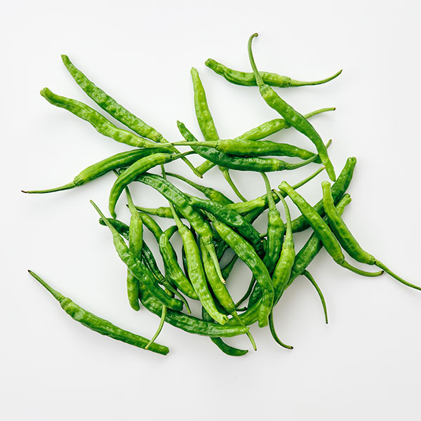 국내산 꽈리고추(100g)