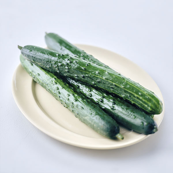 [20% 쿠폰] 국내산 취청오이 (2입, 300g 이상)