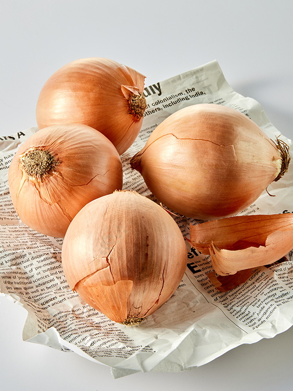 [20% 쿠폰] 국내산 양파 (1kg, 4~5입) 대표이미지 섬네일