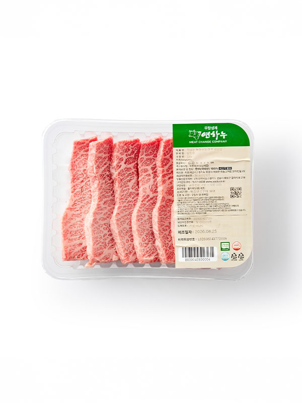 무항생제 1++ 한우 살치살 (200g)