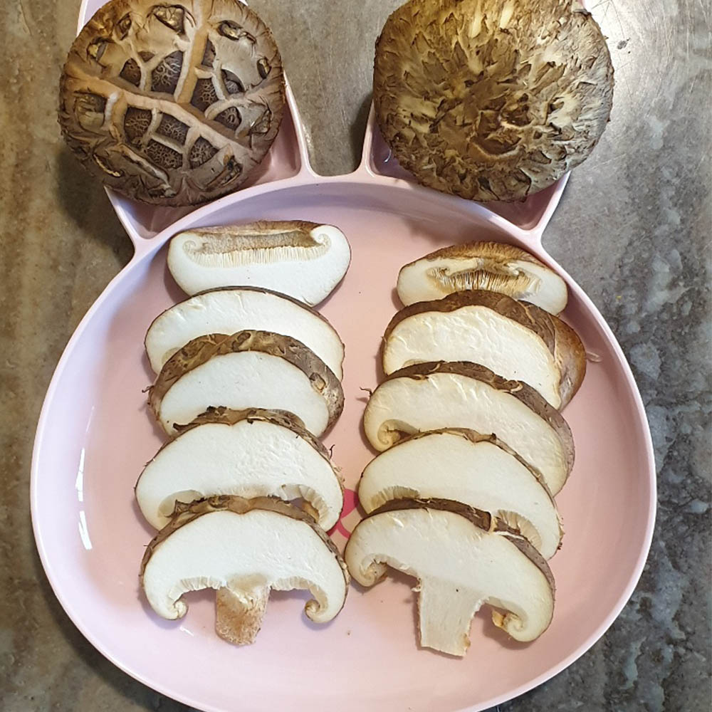 국내산 실속형 못난이/특품 표고버섯 2-8kg