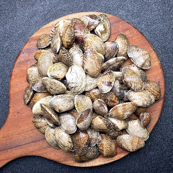 큼직 바지락 1kg 대표이미지 섬네일