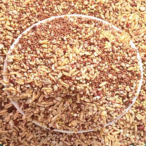 [농촌진흥청 특허] 소적두 국산 혈당케어 잡곡(500g)