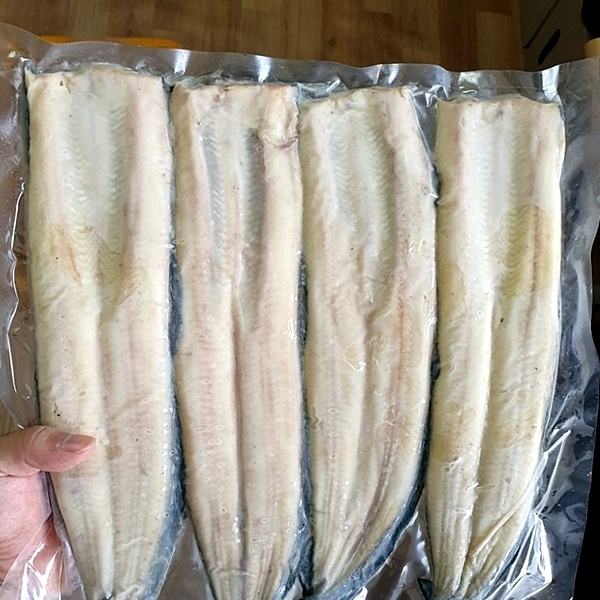 초벌 고창 풍천 장어 1kg 대표이미지 섬네일