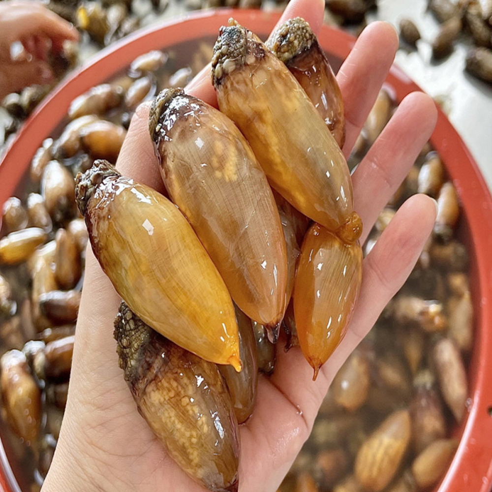 [산지직송] 남해 바다향 가득 싱싱한 참미더덕 미더덕회 오만둥이 오만디 200g 500g 1kg 대표이미지 섬네일