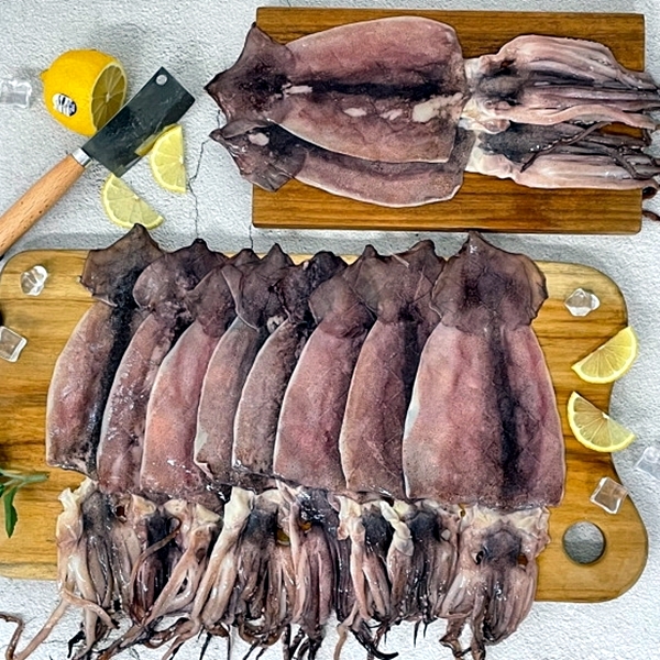 군산 반건조 오징어 5미 대표이미지 섬네일