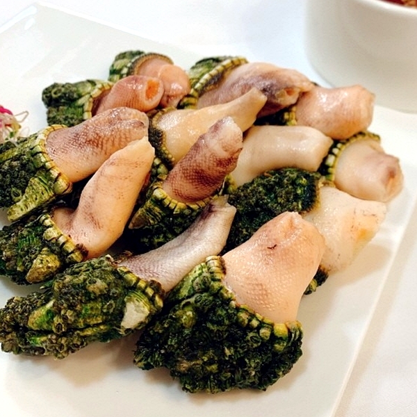 연안 거북손 500g