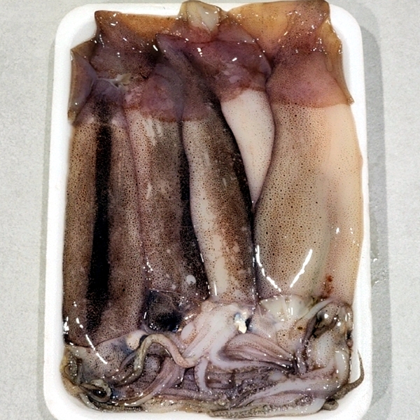 통찜용 오징어 500g
