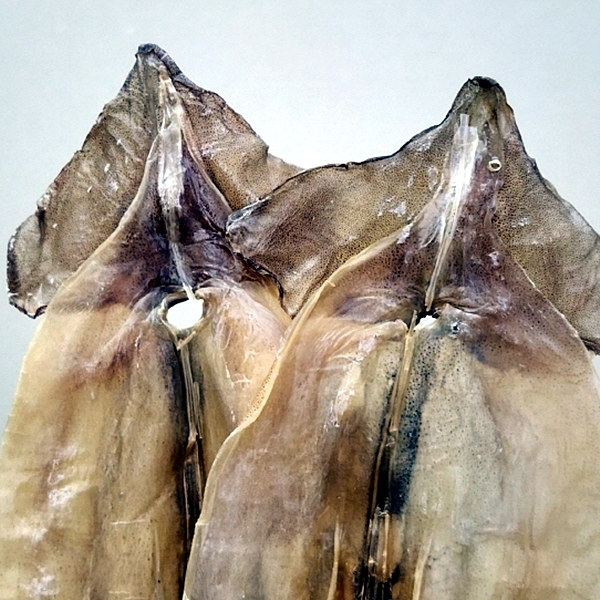 건오징어 5미 250g