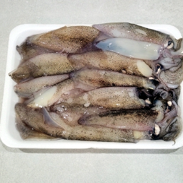 총알한치 500g 대표이미지 섬네일