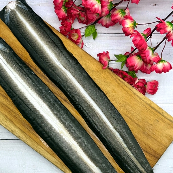 풍천 민물장어 1kg