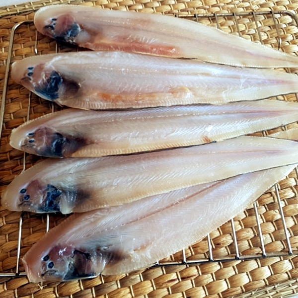 반건조 박대 5미