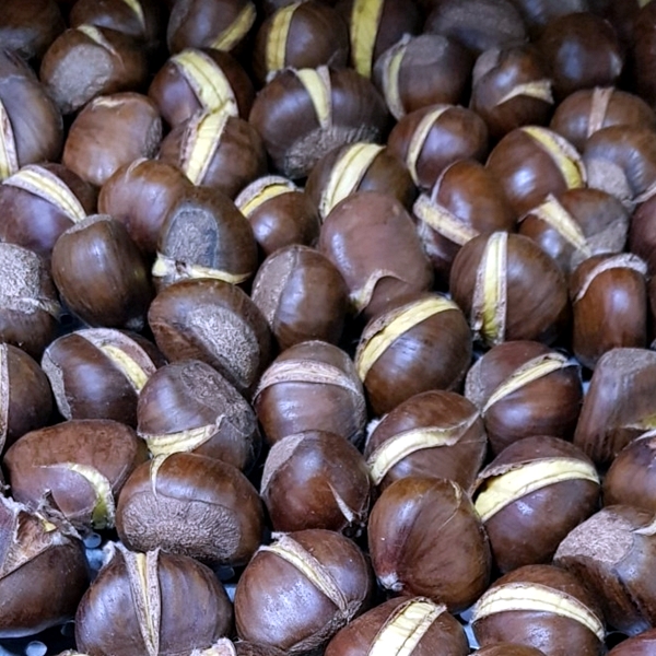 햇 약단밤 1kg